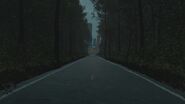 Road leading to the entrance of the factory