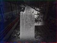 "... even after suffering such a tragic loss?"