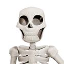 SkeletonSkin