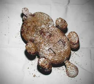 ARG-Theatre 03.jpg (22 KB) A damaged Candy Cat toy.