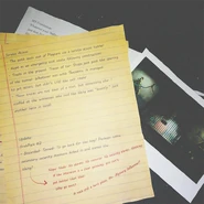 Lockehart Investigation (document 3)