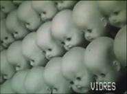 Baby Parts (heads) as seen in the Vintage Poppy Commercial (Old Version).