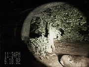 Huggy stalking and killing someone during RESTRICTED_disappearance.