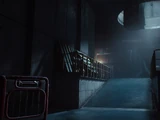 The Labs