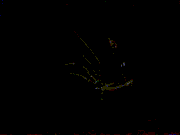 LogVideo
