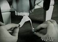 A person is polishing Poppy's shoes.