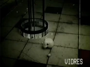 A head of a baby doll is seen laying on the floor.