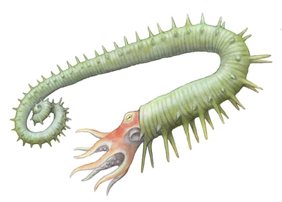 Anisoceras Prähistorische Lebewesen und Erdzeitalter Wiki Fandom