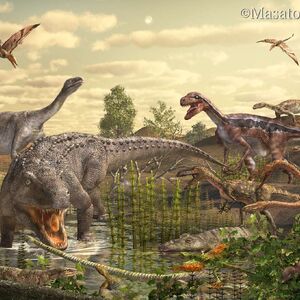 Mesozoikum Prahistorische Lebewesen Und Erdzeitalter Wiki Fandom Die wissenschaftler unterteilen den jura heute mit dem unter.