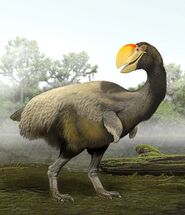 Bullockornis