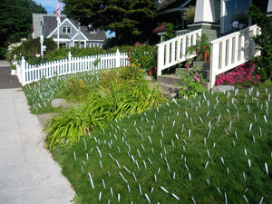 Forking a yard