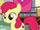 Apple Bloom