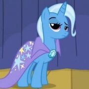 28999-trixie-foto