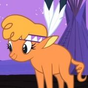 Little-strongheart-foto.jpg