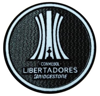 Logo-copa-libertadores1-53138944ece51d2e7915131888109364-640-0.jpg