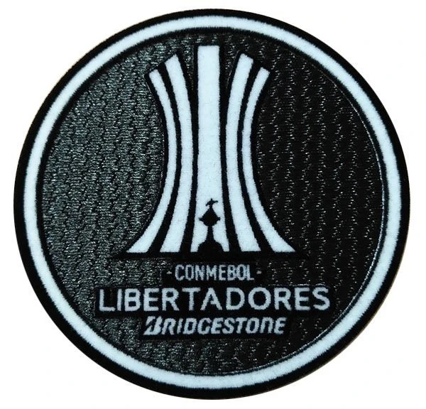 Conmebol Libertadores Bridgestone 2021 Predicciones De Futbol Wiki Fandom