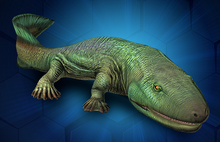 Acanthostega.png