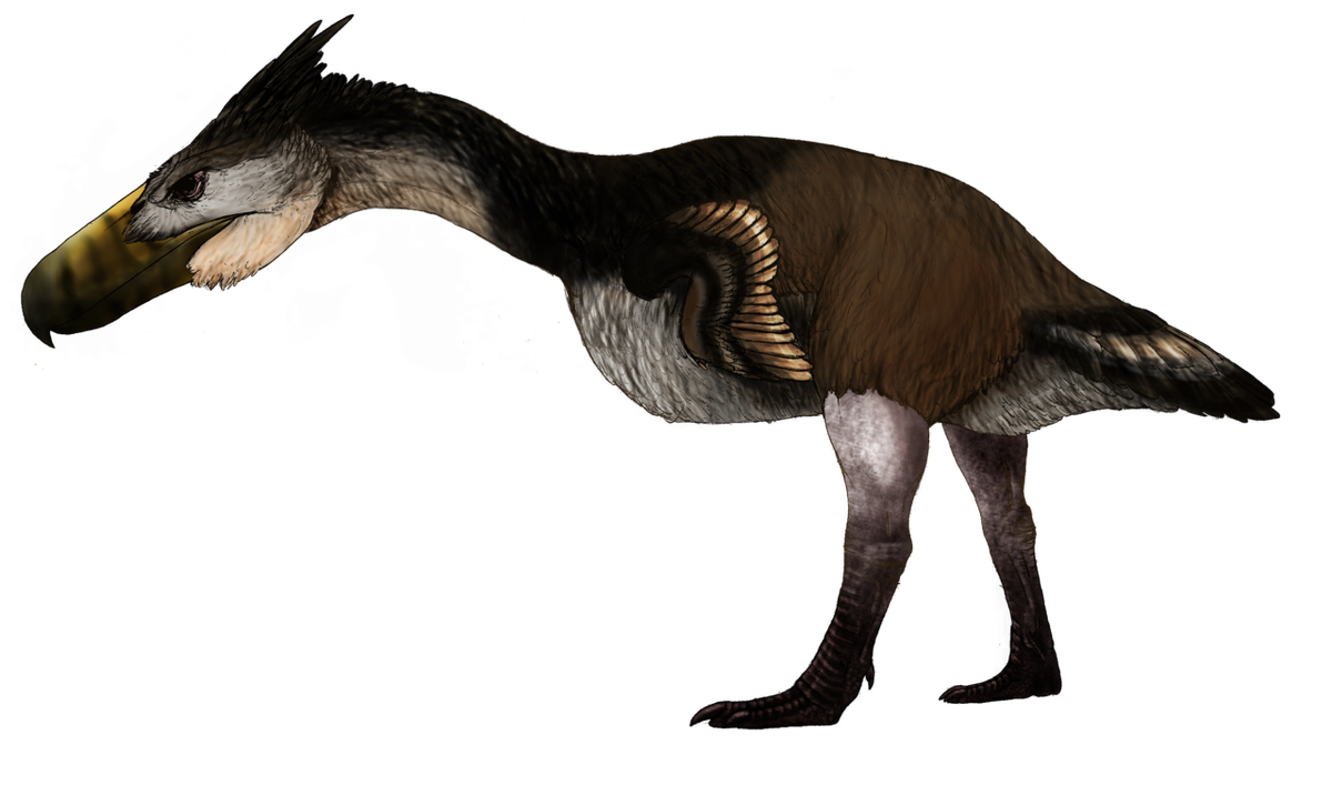 Kelenken Prehistoric Animals Wiki Fandom