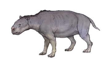 Rhynchippus | Prehistoric Dinosaurs Wiki | Fandom