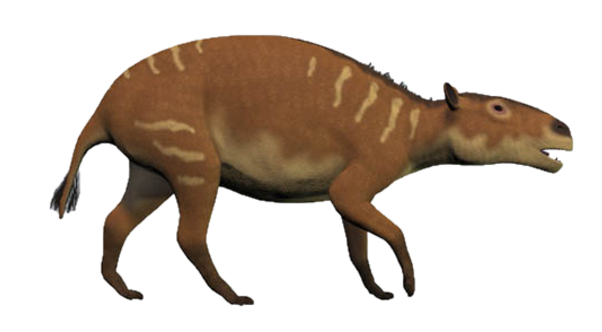 Eurohippus | Prehistoric Dinosaurs Wiki | Fandom