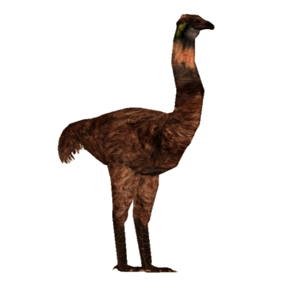 Dinornis Prehistoric Dinosaurs Wiki Fandom