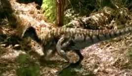 18CA2CA8-A7C5-4BAC-A408-915B53EB08D2