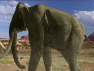 Gettyimages-1B08373 0027-640x640.jpg (28 KB)