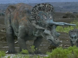 Ceratopsia
