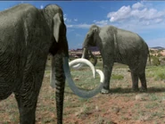 Gettyimages-1B08373 0012-640x640.jpg (34 KB)