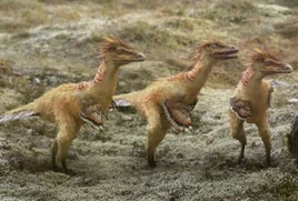 Hesperonychus 1