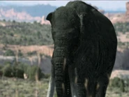 Gettyimages-1B08373 0014-640x640.jpg (23 KB)