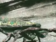 Hqdefault closeup.webp (21 KB)