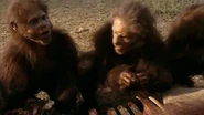 Screenshot (39).png (1.07 MB) A group of Homo Habilis eating meat from a carcass.