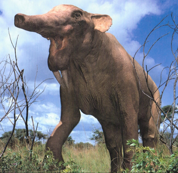 FOSSIL HUNTRESS: DEINOTHERIUM: PREHISTORIC ELEPHANTS