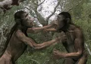 040.webp (36 KB) Two Australopithecus fighting for leadership.