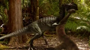 An Anchisaurus being killed by a Dilophosaurus.