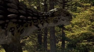 An Ankylosaurus browsing on trees.