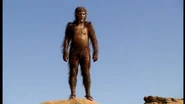 Habilis male.png (593 KB)