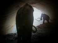 Gettyimages-1B08373 0009-640x640.jpg (16 KB)