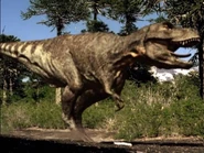 Sue.jpg (176 KB) Sue, the park's resident Tyrannosaurus