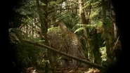 Screenshot (235).png (1.37 MB) A Borealosaurus laying it's eggs in the ground.