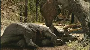 WWD Triceratops.webp (100 KB) A Tyrannosaurus feasting on a Triceratops carcass.