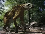 Chalicotherium