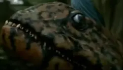 fósil de crassigyrinus