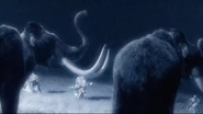 A herd of Woolly Mammoth being attacked by a group of Neanderthals.