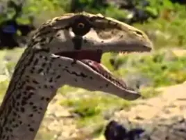 CC22B0BF-5694-4E1A-999B-DC5C5D507A4E