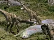 181DF9F0-FE13-4E0B-AFB5-0ACC83BFABB2.webp (192 KB)