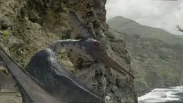 Pteranodon
