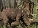 Chasmosaurus