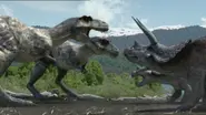 1x1 TriceratopsVSTyrannosaurus.webp (121 KB) A pack of Tyrannosaurus fighting against a herd of Triceratops.
